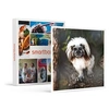 Image de - Coffret Cadeau Tanière Zoo Refuge : immersion avec les herbivores pour 2 personnes-Multi-thèmes