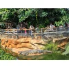 Image de Journée passionnante à la Ferme aux Crocodiles, près d'Avignon pour 1 adulte et 2 enfants