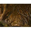 Image de 4 jours à Dublin avec visite guidée des lieux emblématiques de Game of Thrones