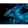 Image de Sortie en famille: entrées pour 2 adultes et 2 enfants à l'aquarium Nausicaá en basse saison