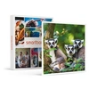 Image de - Coffret Cadeau Journée zoo en famille pour 1 adulte et 2 enfants au Safari de Peaugres-Sport & Aventure