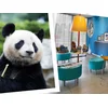 Image de Séjour au ZooParc de Beauval 2027: entrées 2 adulte (2 journées) et 1 nuit à proximité