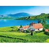 Image de Séjour au grand air
