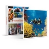 Image de - Coffret Cadeau Exploration plongée-Sport & Aventure