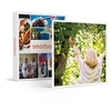 Image de - Coffret Cadeau Pour une grand-mère en or-Multi-thèmes