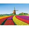 Image de Séjour aux Pays-Bas