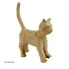Image de Chaton à décorer - 9 x 5 x 13 cm