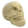 Image de Crâne - 12cm - Papier mâché