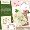 Image de Coffret créatif presse fleurs et herbier Avenue Mandarine Blanc TU CO175C