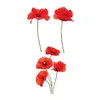 Image de Autocollant pour vitres coquelicots