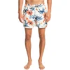 Image de Quiksilver Short De Bain Garden Path 15