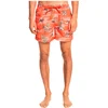 Image de Quiksilver Short De Bain Scenic 15