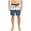 Image de Quiksilver Short De Bain Division 17 Nb