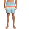 Image de Quiksilver Short De Bain Surfsilk Air-brush Volley 17´´nb