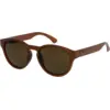 Image de Quiksilver - Eliminator Polarized - Lunettes de soleil homme Stone / Brown PLZ - Taille unique