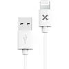 Image de Câble lightning 1M blanc
