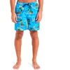 Image de Quiksilver Short De Bain Everyday Straight Volley 17