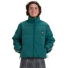 Image de Quiksilver - Puff The Dragon - Doudoune homme Botanical Garden - XL