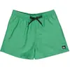 Image de Quiksilver Short De Bain Everyday Deluxe Volley 15´´