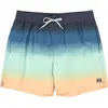 Image de Billabong Short De Bain All Day Fade