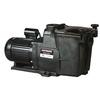 Image de Pompe à filtration 1.5 cv 18 m3/h triphasé 2 Hayward SP2616XE223