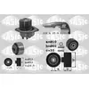 Image de 3900017 Kit Dist. Pompe A Eau