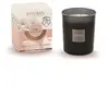 Image de Bougie parfumée initiale rechargeable Iris Cachemire