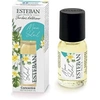 Image de Essence de Monoï Sunshine Oil - Paris