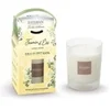 Image de Bougie Parfumée Jasmin d'été 180g - - Blanc - Cire