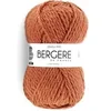 Image de Pelote ALASKA 100 - Bergère de France(...) - CUIVRE