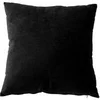 Image de Coussin Déco en Velours "Câlin" 40x40cm Noir