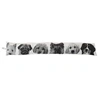 Image de Boudin de Porte Chiens "Vickie" 90cm Ecru