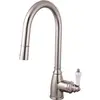 Image de 9001410 Ascott mitigeur évier à douchette extractible façon inox