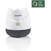 Image de Tulipe Cream