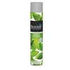 Image de Désodorisant aérosol bactéricide menthe - 500 ml - boldair