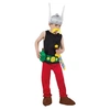 Image de Costume Licence Officielle Asterix Enfant - Multicolores - 140 cm