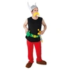 Image de Costume Licence Officielle Asterix Adulte - Multicolores - XL
