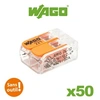 Image de - Pot de 50 bornes de connexion automatique 2 entrées S221