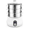 Image de Cuiseur Vapeur & Couscoussier Inox Avec Livre De Recettes Multisteam9