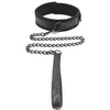 Image de Collier et Laisse avec Scratch