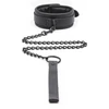 Image de Collier Epais + Laisse