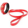 Image de Collier et Laisse Lighty Rouge