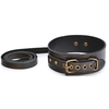 Image de Collier-Laisse Vintagy