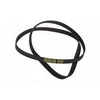 Image de Courroie 1184J5 1184J6 (143669-21431) Lave-linge 52X0032, ELECTROLUX, AEG, ARTHUR MARTIN ELECTROLUX, BRANDT, VEDETTE, SANGIORGIO, FAURE, ARTHUR