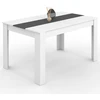 Image de Table à manger 6 personnes blanche et grise