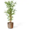 Image de Plante artificielle bambou 150 cm