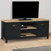 Image de Meuble TV noir 113 cm 2 placards