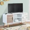 Image de Meuble TV scandinave blanc 2 portes