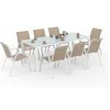 Image de Salon de jardin beige 9 pieces 8 personnes 190 x 80 x 73 cm acier