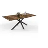 Image de Table a manger extensible sans tiroir 10 personnes rectangulaire en Bois L 160 cm